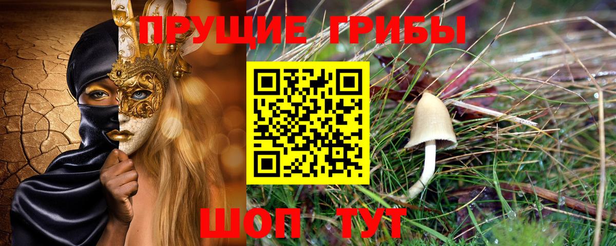 Псилоцибиновые грибы GOLDEN TEACHER  Галлюциногенные грибы Cubensis  Алушта  Вход с VPN 